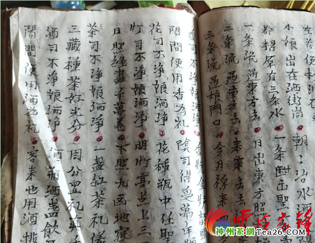 李世明：從貧困戶變身新一代“制茶人”帶領群眾致富