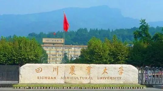 這些開設茶學專業的高校，喜歡茶的學子不妨參考一下
